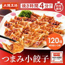 大阪王将 つまみ小餃子120個 餃子 冷凍食品 冷凍餃子 ギョウザ ぎょうざ ひとくち餃子 お取り寄せ グルメ
