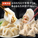 大阪王将 ぷるもちえび水餃子3袋+ぷるもち水餃子3袋セット 餃子 冷凍食品 冷凍餃子 水餃子 ギョウザ エビ餃子 海老餃子 えび餃子 お取り寄せ グルメ おかず...