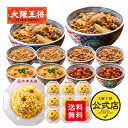 【期間限定1500円OFFクーポン!10340円→8840円】<吉野家×大阪王将 丼の具&チャーハン詰め合わせセット(合計20食)>仕送り 吉野家 牛丼の具 冷...