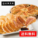 ＜大阪王将 羽根つき餃子12個入×10袋セット＞送料無料 冷凍食品 冷凍餃子 お取り寄せ お取り寄せグルメ 通販 ぎょうざ ギョウザ ギョーザ 中華 仕送り 備蓄 まとめ買い お歳暮