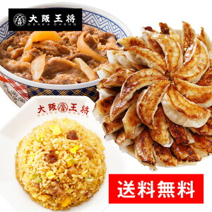 【送料無料】≪吉野家×大阪王将≫鉄板コラボセット　牛丼/餃子/炒飯　冷凍食品　おかず　お弁当　食品　仕送り　吉野屋　福袋　2023　福袋　食品