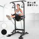 懸垂 懸垂マシン 懸垂器具 トレーニング 自宅 筋肉トレーニング 背筋 腹筋 大胸筋 懸垂バー チンニングスタンド ー ぶらさがり 懸垂台
