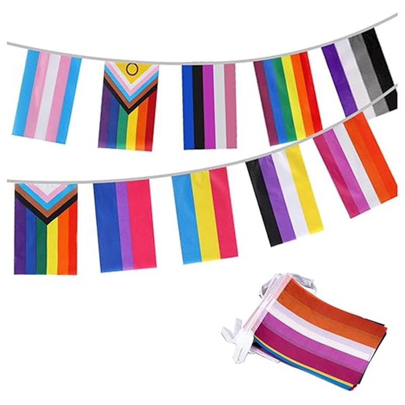 プログレスプライドフラグLGBTプライドストリングフラグ-レインボートランスジェンダーLGBTとゲイレズビアンプライドのバナー、バーの装飾 30枚 10m