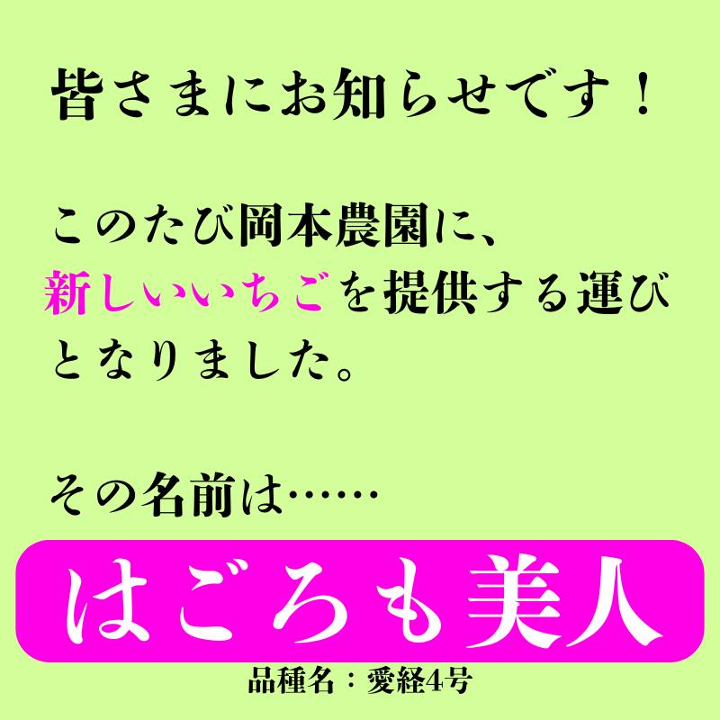 特別栽培 いちご 身内へのギフト・贈答、うち使...の紹介画像3