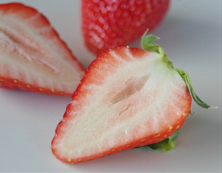 100 の保証 無化学肥料 減農薬いちご 身内へのギフト 贈答 うち使い用 2kg 250g 8パック ゆめのか 愛知県産 フルーツ 送料無料 送料無料 Entramado Fundeps Org