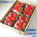 特別栽培 いちご　身内へのギフト・贈答、うち使い用　1箱1kg(250g×4パック) ゆめのか　愛知県産　フルーツ　【送料無料】