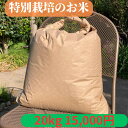 米20kg 玄米 愛知県産