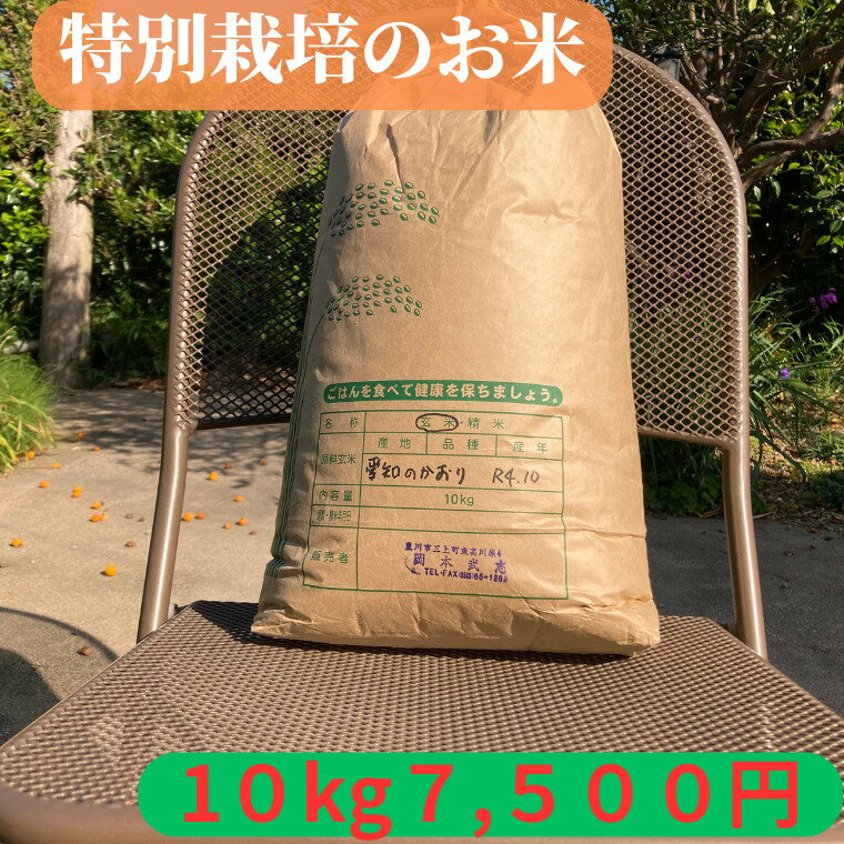 おこめ 10kg【特別栽培作物】玄米 愛知県産