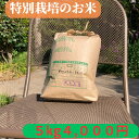 米 5kg 玄米 愛知県産