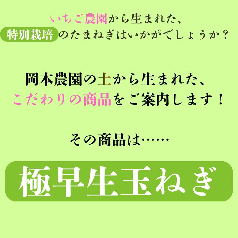 極早生玉ねぎ 4.5kg 野菜 【特別栽培】