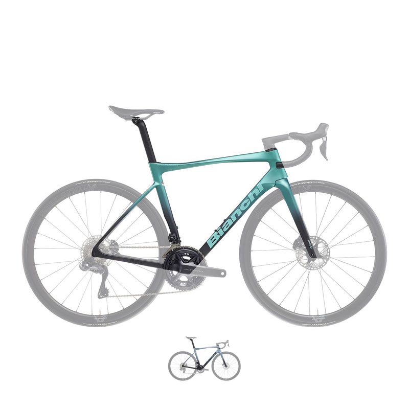 BIANCHI rAL 2024Nf SPECIALISSIMA PRO FRAME SET (XTB08) XyVbV}v [hoCN t[Zbg