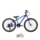 MARIN マリン 2025年モデル DONKY JR 22 6s LTD ドンキージュニア22 6S 限定カラー キッズバイク 22インチ 子供用自転車