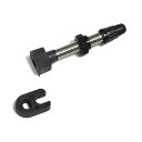 CAMPAGNOLO カンパニョーロ WH-SH001 チューブレスバルブ (2WAY FIT) R1134870