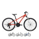 LOUIS GARNEAU ルイガノ J24 24インチ 子供用自転車