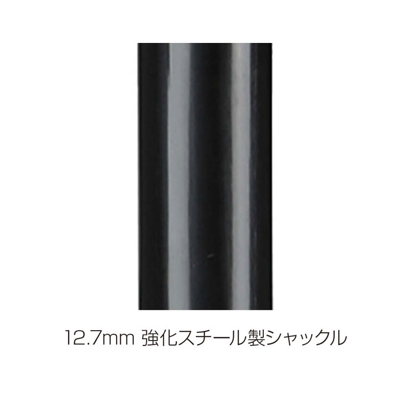 KRYPTONITE クリプトナイト クリプトロック コンボ Uロック LKU04200