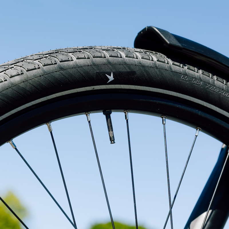 SCHWALBE シュワルベ モーションビッグアップル 16x2.00 (50-305) タイヤ ブラック...