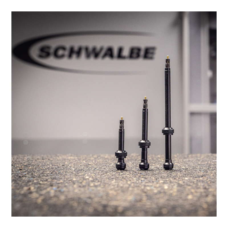 SCHWALBE シュワルベ チューブレスバルブ バルブ長100mm 2本入