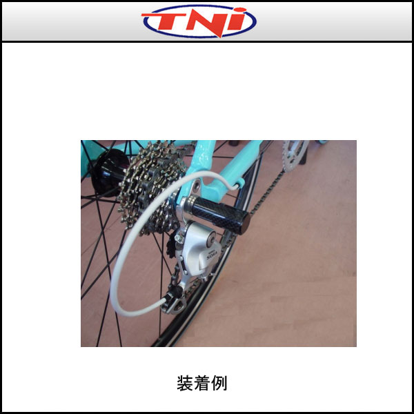 TNI（ティーエヌアイ） RD カーボンプロテクター【自転車用】