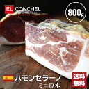 【エルコンチェル】スペイン産 ハモンセラーノ 18ヶ月熟成 ミニハモン 800g ミニ原木 生ハムブロック
