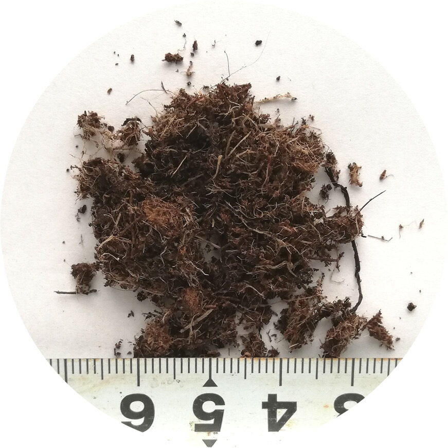 ���ڤ���ǳ�䤻�������ڢ�15��åȥ뢡�����ǥ˥󥰡�������ʡ������ڡ�����