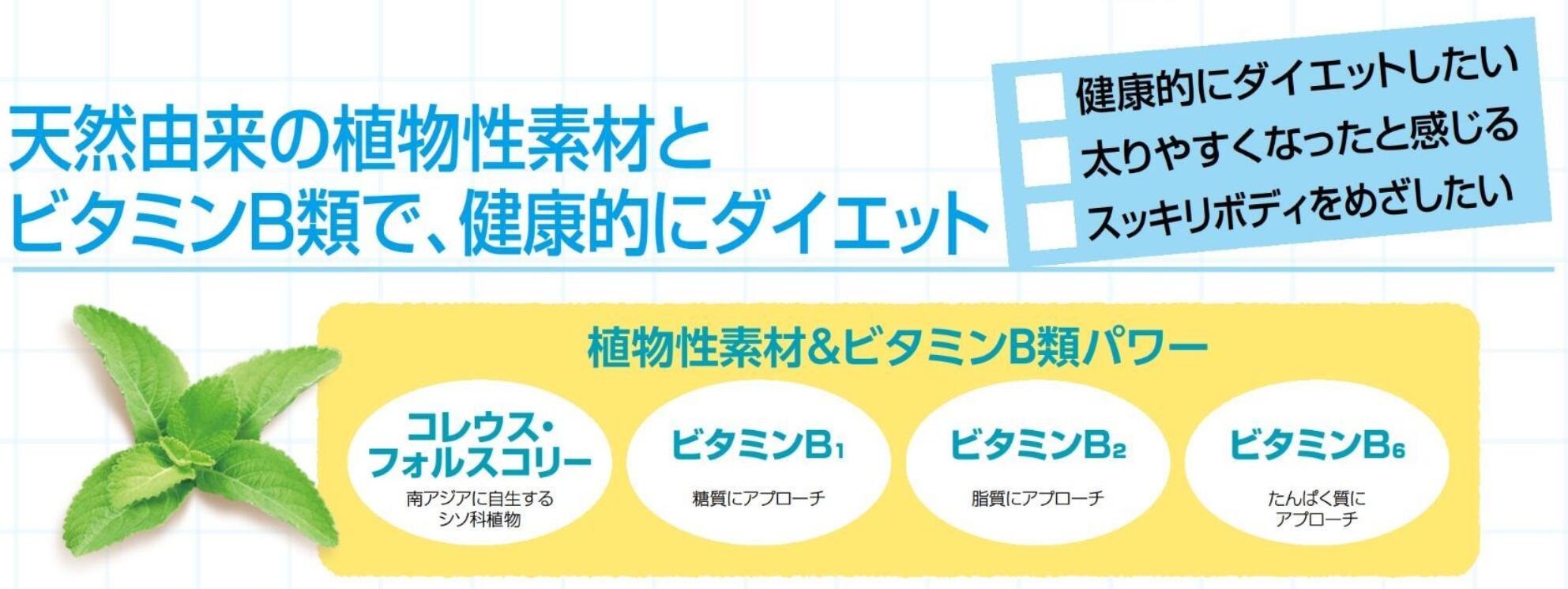 【3個セット】DHC フォースコリー 20〜40日分 (80粒入) (4511413403143)