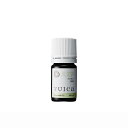 エッセンシャルオイル クロモジ (枝葉部) 5ml|黒文字 アロマ オイル 和精油 国産 日本 森 yuica