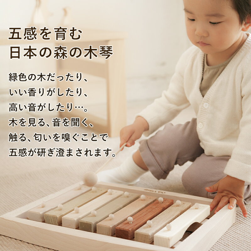 【名入れ可】森の合唱団 | 木琴 楽器 子供 おもちゃ 国産 シロホン 1歳 2歳 3歳 知育 知育玩具 男の子 女の子 赤ちゃん 子供 プレゼント ギフト クリスマス 出産祝い 誕生日プレゼント お誕生日