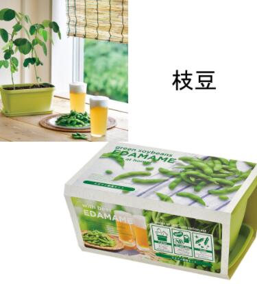 エンジョイプランター　ベジ＆フラワー 01えだまめ【栽培セット】 [Cultivation set] Enjoy planter Vege & Flower たっぷりと2Lの土が入るカラープランターで育てる栽培セット。 土の量が多いぶん、根がしっかりと張り植物が丈夫に育ちます。 インテリアのアクセントにもなる3色のプランターは、受け皿付き。 お部屋の中で育てられて、出窓のようなスペースにもぴったりです。 家族で植物のお世話係を決めると、さらに愛羞がわいてきそう！ ●サイズ・容量 約W23.5×D14.5×H11.5cm ■製造年：2020 ※他の商品との同梱は別途送料を頂戴いたします。 ●メール便発送できません。 ●ご注文時のタイミングで在庫切れの場合がございます。 その場合入荷までお時間をいただくことがございます。 また、廃盤となっている場合もございますその際はご注文をキャンセルさせて頂く事がございます、ご了承ください。 ●沖縄、離島、発送できません。