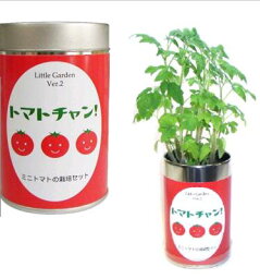 【栽培セット】　リトルガーデン　トマトチャン