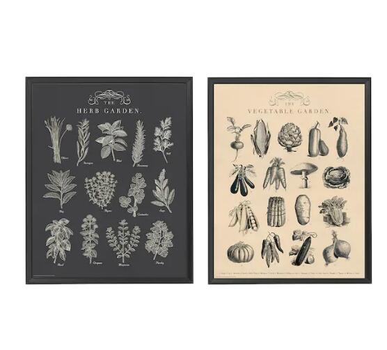 【NEW】IKEA イケア KNOPPÄNG クノッペングフレーム ポスター付き, ガーデン40x50 cm204.657.72 アーティスト：Julia Trigg 自分らしいスタイルが感じられるアートで自宅を個性的に演出できま...