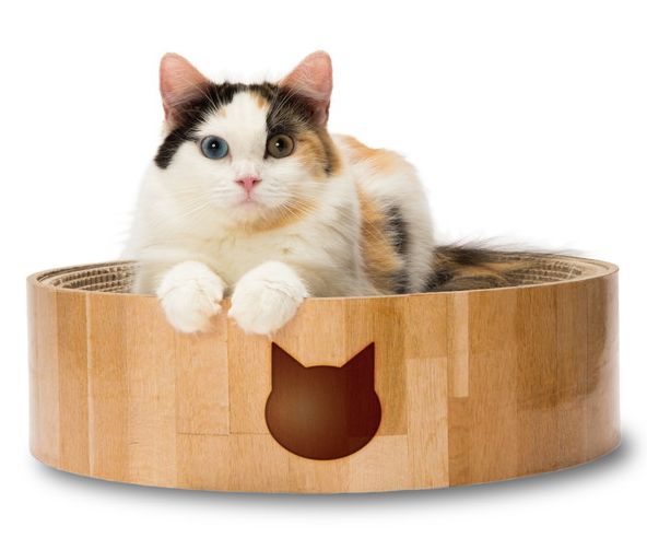 バリバリ ボウル 猫柄 4580471863435 寝てよし、研いでよし！交換できるので経済的 ●ベッドとしてくつろぎやすいよう猫のカラダにフィットする丸型＆すり鉢構造。 ●直径40cmと寝るのにも、爪とぎをするのにも十分なサイズ。 ●シンプルで周囲に調和する木目調の柄を採用。 ●爪とぎの部分が交換できるので経済的。 ●サイズ 40×40×11.5cm ●素材 段ボール ●本体 重量：1,280±50g ●メール便発送できません。 ●ご注文時のタイミングで在庫切れの場合がございます。 その場合入荷までお時間をいただくことがございます。 また、廃盤となっている場合もございますその際はご注文をキャンセルさせて頂く事がございます、ご了承ください。 ペット ねこ 猫 ネコ にゃんこ ベット クッション ネコ用 愛猫 ネコのいる幸せ ネコとの暮らし