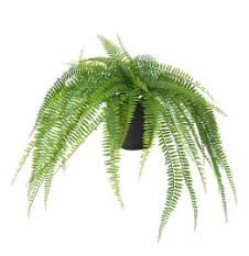 【NEW】IKEA ikeaFEJKA フェイカ 人工観葉植物, 室内/屋外用 つり下げ型/シダ, 12 cm905.486.32癒しの空間、お部屋のアクセントに