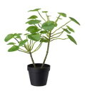 【NEW】IKEA ikeaFEJKA フェイカ 人工観葉植物, 室内/屋外用 ピレア, 12 cm603.952.92自然、お部屋のアクセントに 葉の形がとて...