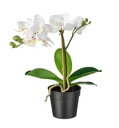 IKEA ikeaFEJKA フェイカ 人工観葉植物, Orchid ホワイト, 9 cm802.949.37和やかな雰囲気になります。