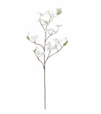 【NEW】IKEA ikeaSMYCKA スミッカ 造花 スプレー, 室内/屋外用/ハナミズキ ホワイト, 100 cm305.601.46お部屋をデコレーションのサムネイル