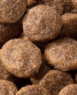 JPスタイル 和の究み 猫用 セレクトヘルスケア 腎臓ガード かつお味 200g 犬猫用 ペット用品 犬猫用品 おやつ フード 犬猫用フード