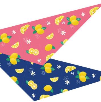 犬用 デザイン バンダナ バイカラースターバンダナ 10枚入り 【サイズ：SS】7179エムビープロジェクト ..