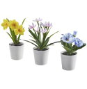 【NEW】IKEA イケア FEJKA フェイカ人工観葉植物 植木鉢付き3点セット, 室内/屋外用 フラワー, 6 cm705.932.01