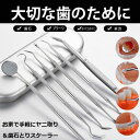【送料無料】歯科ツールセット 歯科口腔ケア 歯清潔ツール 口腔ケア器具 虫歯 口腔清潔 両頭 6個セット ステンレス鋼 収納ケース付き 歯石取り 口腔衛生 医学...