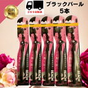 送料無料 5本 銀座ステファニー化粧品 REACH リーチ ホワイトニング ブラックパール とってもコンパクト ふつう ハブラシ (4560279565175) 5本