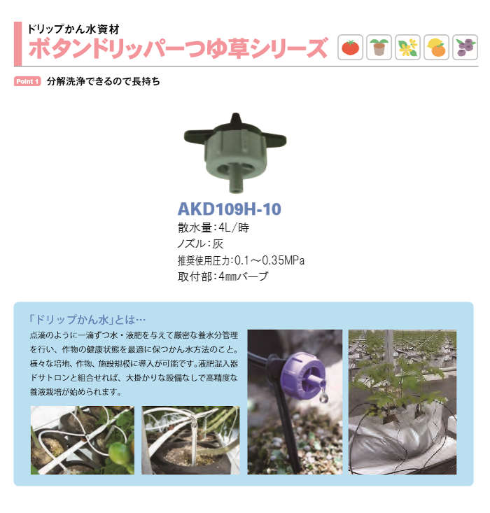 �ܥ���ɥ�åѡ��Ĥ��𥷥꡼�� 50�� AKD109H-10x5 ����ۡ��� 4L/H