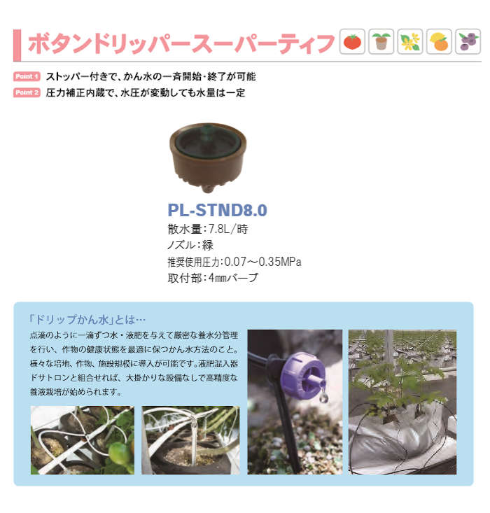 �ܥ���ɥ�åѡ������ѡ��ƥ��� 50�� PL-STND8.0��50 ����ۡ���