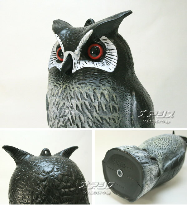 ���֡��߲�������Ļ�� �˥�ߤդ����� TTN-F2 ��������(TIGER)