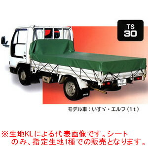 Rakuten - トラックシート TS-30(TSG) 南栄工業