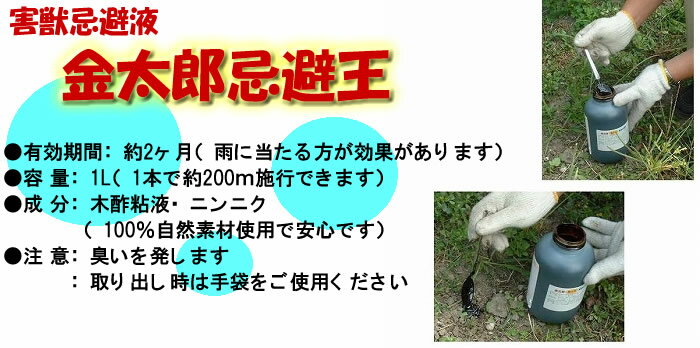 ����Ϻ���� 1L