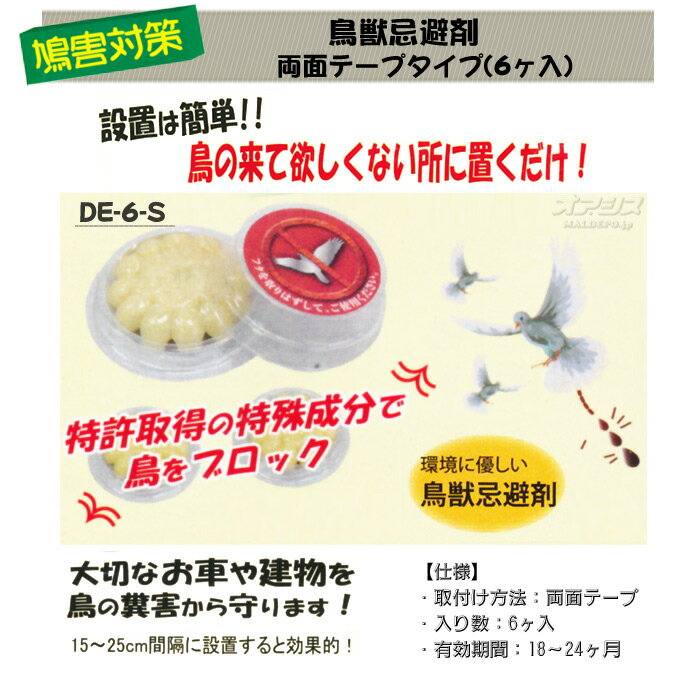 Ļ�ô���� ξ�̥ơ��ץ�����(6����) DE-6-S