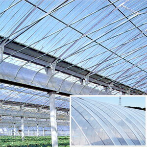 �ϥ����ѥե���� �������ȥ����� ��900cm ����0.1mm ������� �ڲù��ʡ� �ڸĿ��������Բġ�