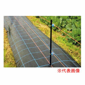 基本材料 - 防草シート アグリシート 50cm×100m SG1515 日本ワイドクロス 防草・多目的用 シルバーグレー【個人宅配送不可】