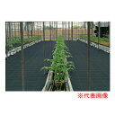 防草シート 強力アグリシート 2m×100m BB2218 日本ワイドクロス 防草・多目的用 ブラック【個人宅配送不可】