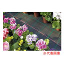 防草シート 抗菌アグリシート 3m×100m BK1515 日本ワイドクロス 防草・多目的用 ブラック【個人宅配送不可】